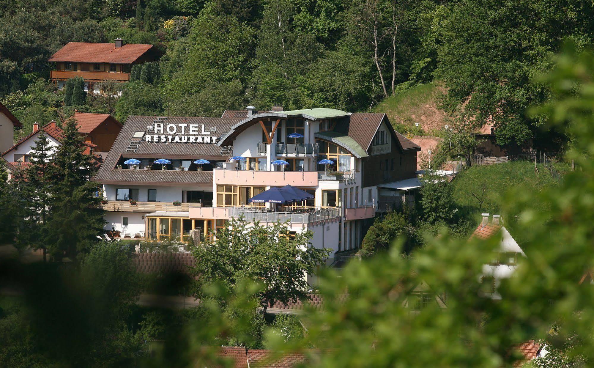 Hotel Am Hirschhorn - Wellness - Spa - And More Wilgartswiesen Ngoại thất bức ảnh